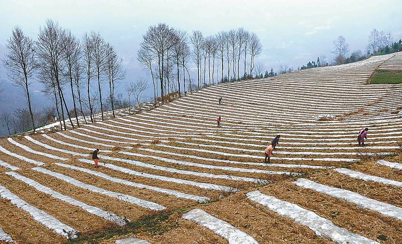 必赢网络游戏平台-(中国)有限公司-官方网站